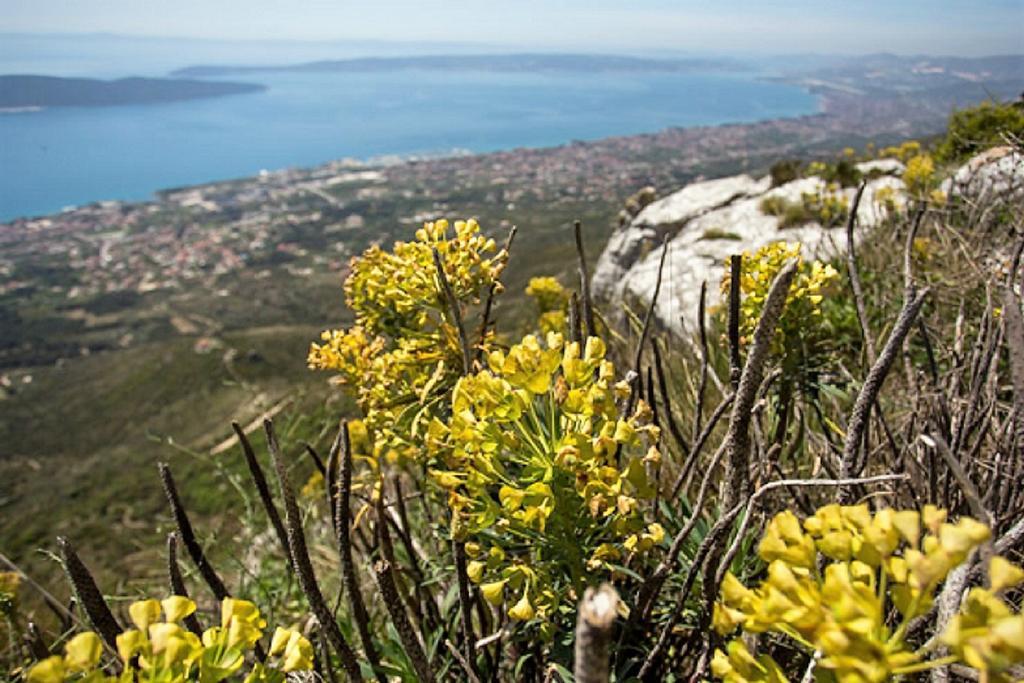 Apartmani Strada Kaštela Εξωτερικό φωτογραφία